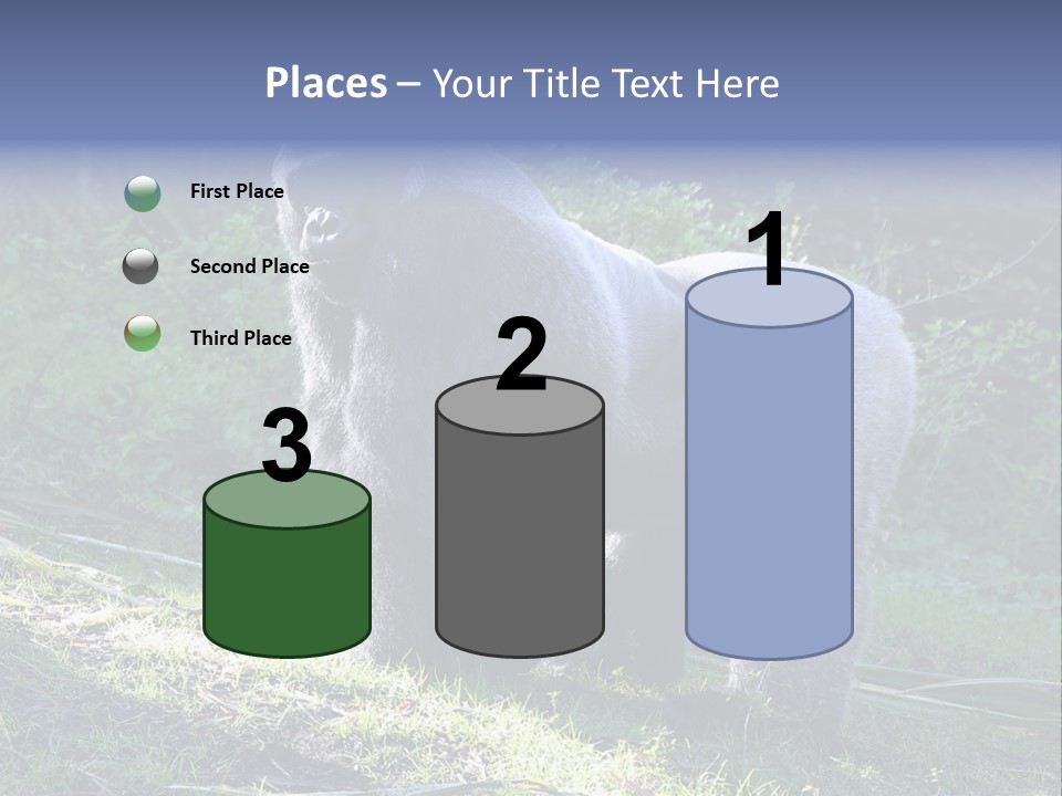 A Gorilla Standing In The Grass With Trees In The Background PowerPoint Template