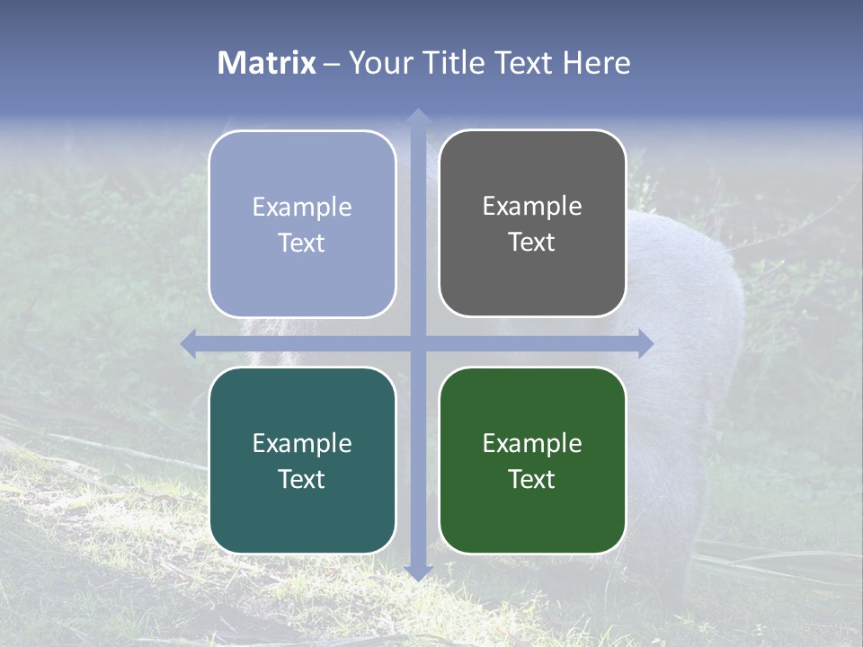 A Gorilla Standing In The Grass With Trees In The Background PowerPoint Template