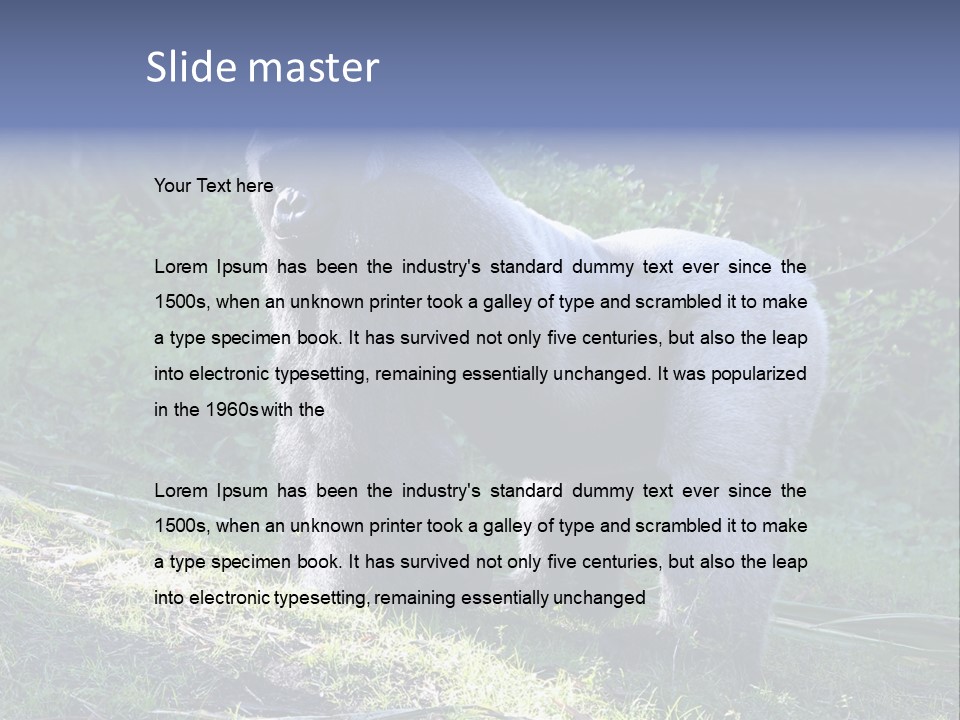 A Gorilla Standing In The Grass With Trees In The Background PowerPoint Template