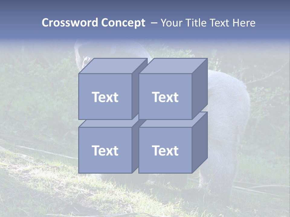 A Gorilla Standing In The Grass With Trees In The Background PowerPoint Template