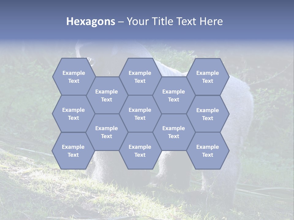 A Gorilla Standing In The Grass With Trees In The Background PowerPoint Template