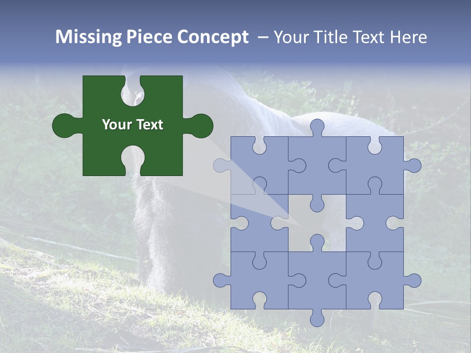 A Gorilla Standing In The Grass With Trees In The Background PowerPoint Template