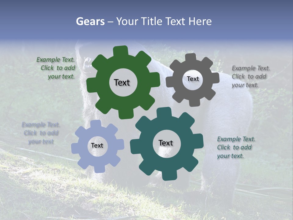 A Gorilla Standing In The Grass With Trees In The Background PowerPoint Template