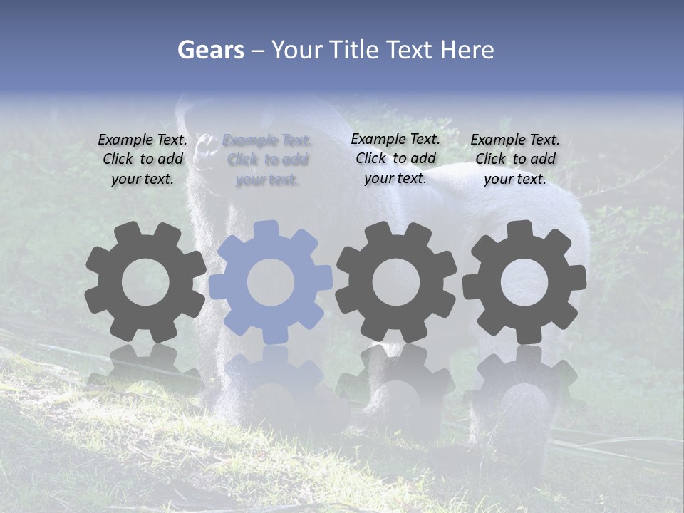 A Gorilla Standing In The Grass With Trees In The Background PowerPoint Template