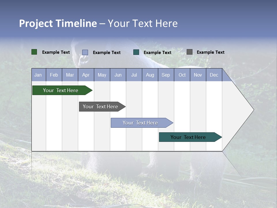 A Gorilla Standing In The Grass With Trees In The Background PowerPoint Template