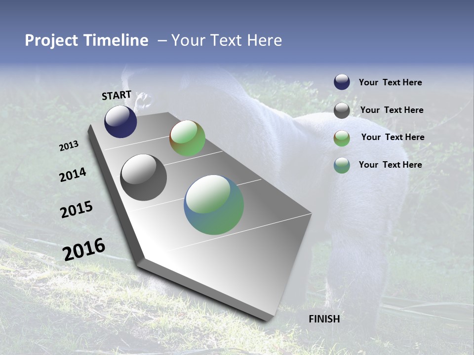 A Gorilla Standing In The Grass With Trees In The Background PowerPoint Template