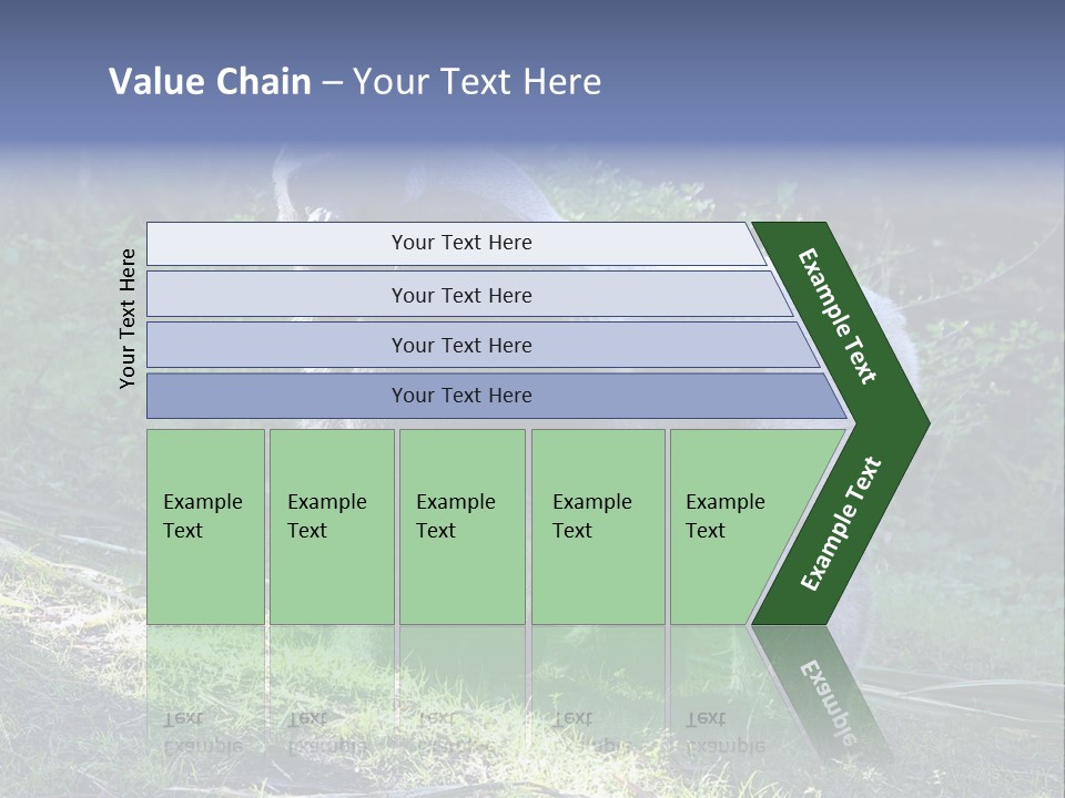 A Gorilla Standing In The Grass With Trees In The Background PowerPoint Template