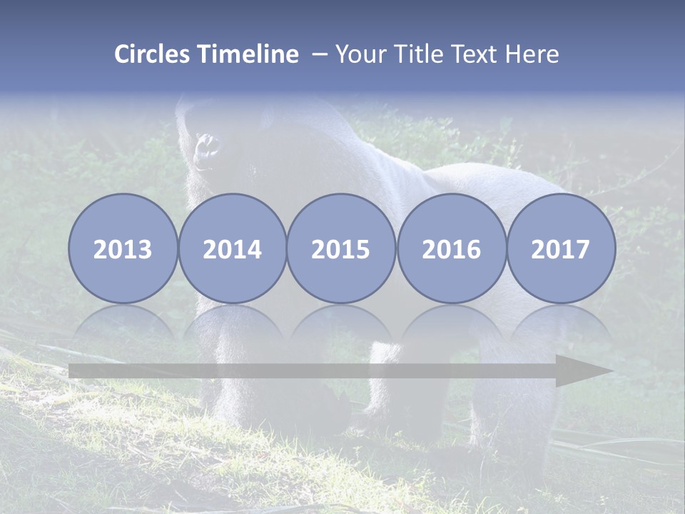 A Gorilla Standing In The Grass With Trees In The Background PowerPoint Template