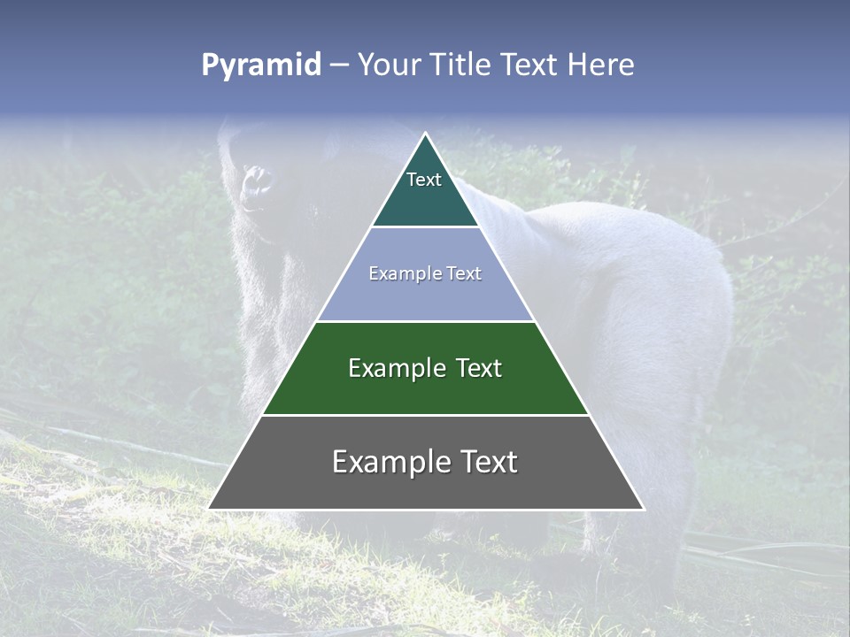A Gorilla Standing In The Grass With Trees In The Background PowerPoint Template