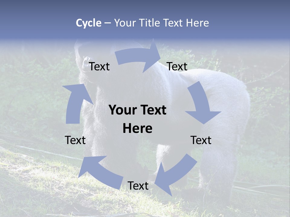 A Gorilla Standing In The Grass With Trees In The Background PowerPoint Template