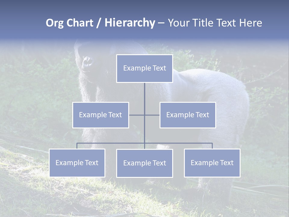 A Gorilla Standing In The Grass With Trees In The Background PowerPoint Template
