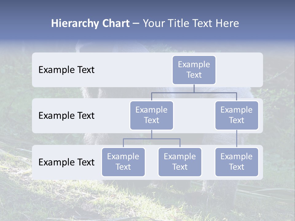 A Gorilla Standing In The Grass With Trees In The Background PowerPoint Template
