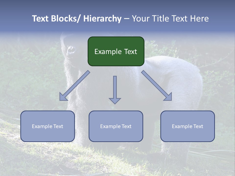 A Gorilla Standing In The Grass With Trees In The Background PowerPoint Template
