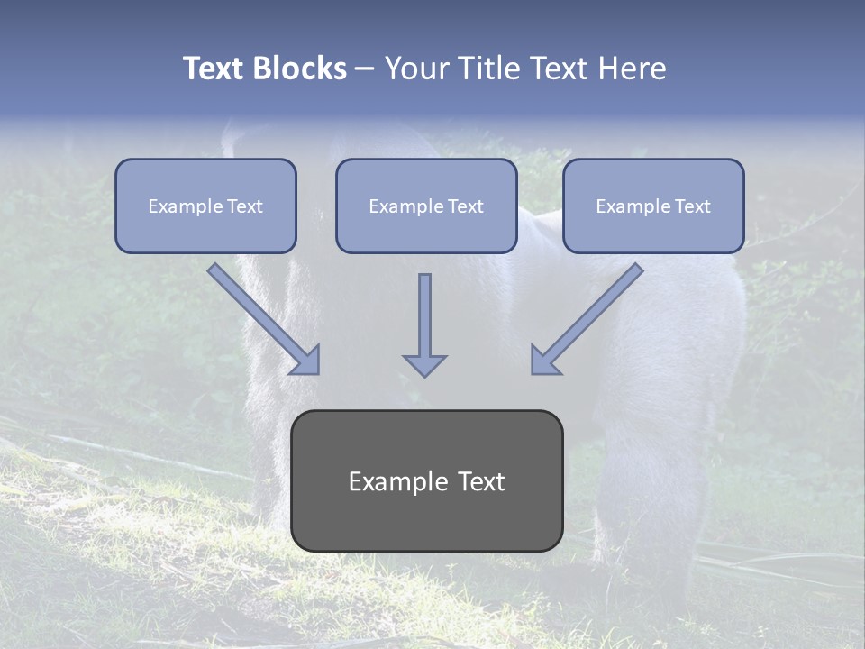 A Gorilla Standing In The Grass With Trees In The Background PowerPoint Template
