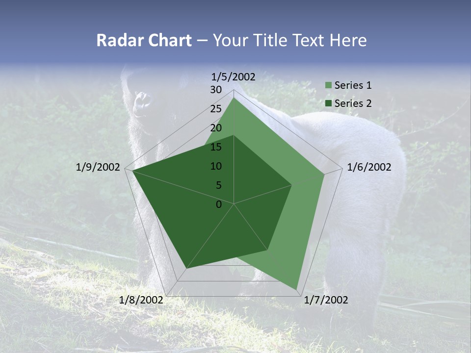 A Gorilla Standing In The Grass With Trees In The Background PowerPoint Template