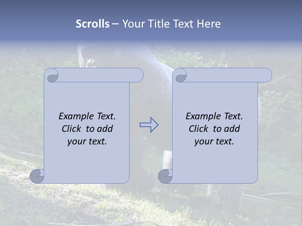 A Gorilla Standing In The Grass With Trees In The Background PowerPoint Template