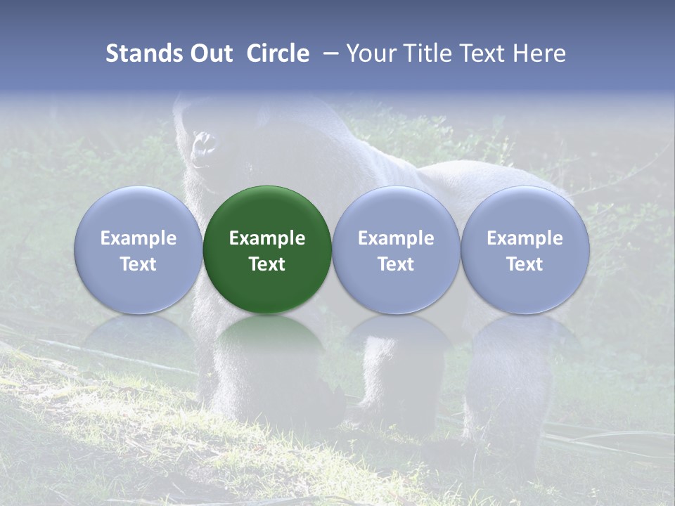 A Gorilla Standing In The Grass With Trees In The Background PowerPoint Template