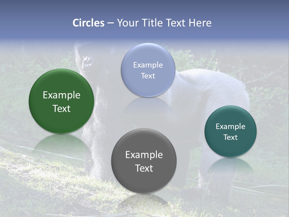 A Gorilla Standing In The Grass With Trees In The Background PowerPoint Template