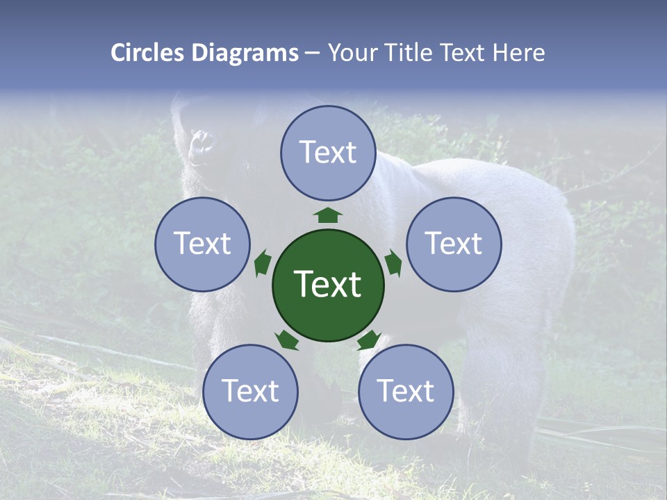 A Gorilla Standing In The Grass With Trees In The Background PowerPoint Template