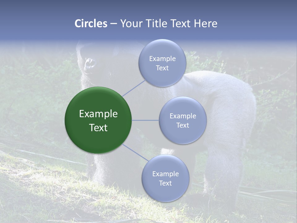 A Gorilla Standing In The Grass With Trees In The Background PowerPoint Template