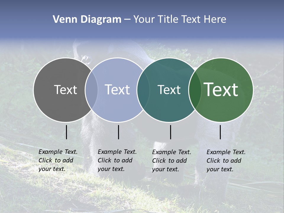 A Gorilla Standing In The Grass With Trees In The Background PowerPoint Template