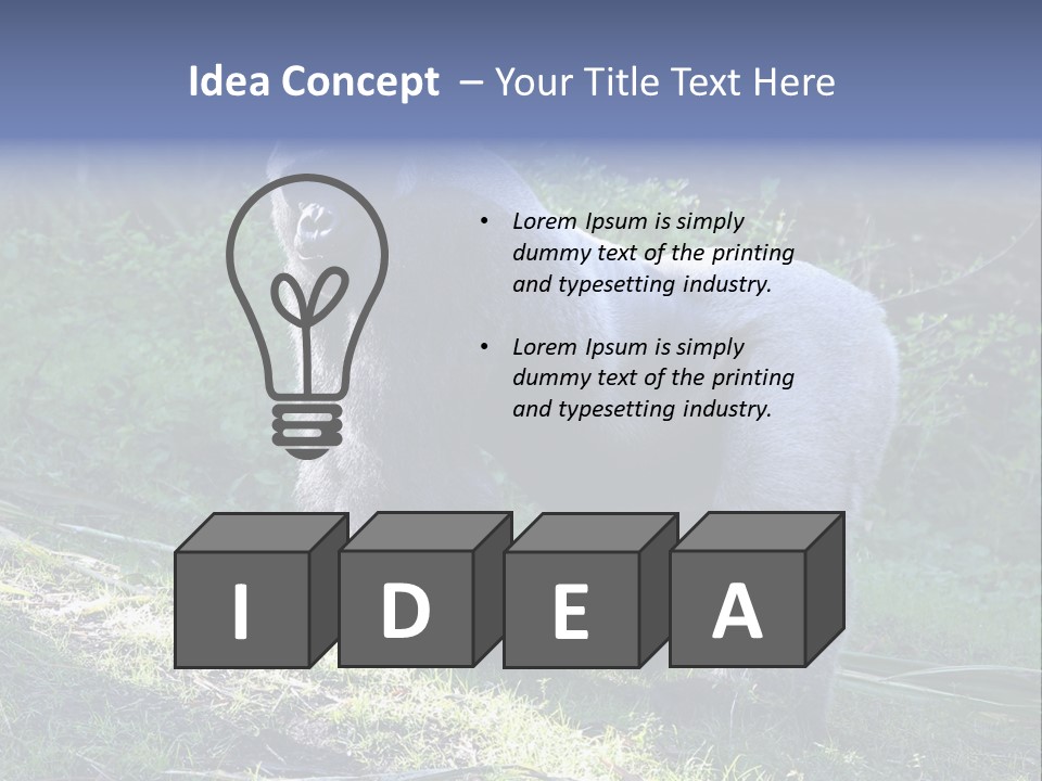 A Gorilla Standing In The Grass With Trees In The Background PowerPoint Template