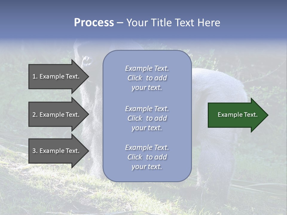 A Gorilla Standing In The Grass With Trees In The Background PowerPoint Template