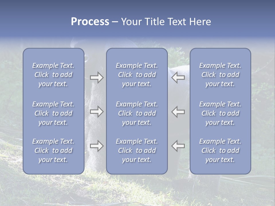 A Gorilla Standing In The Grass With Trees In The Background PowerPoint Template