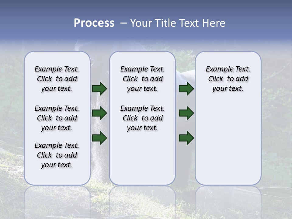 A Gorilla Standing In The Grass With Trees In The Background PowerPoint Template