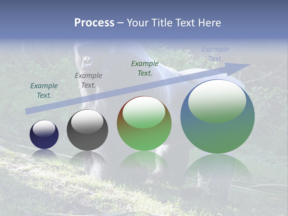 A Gorilla Standing In The Grass With Trees In The Background PowerPoint Template