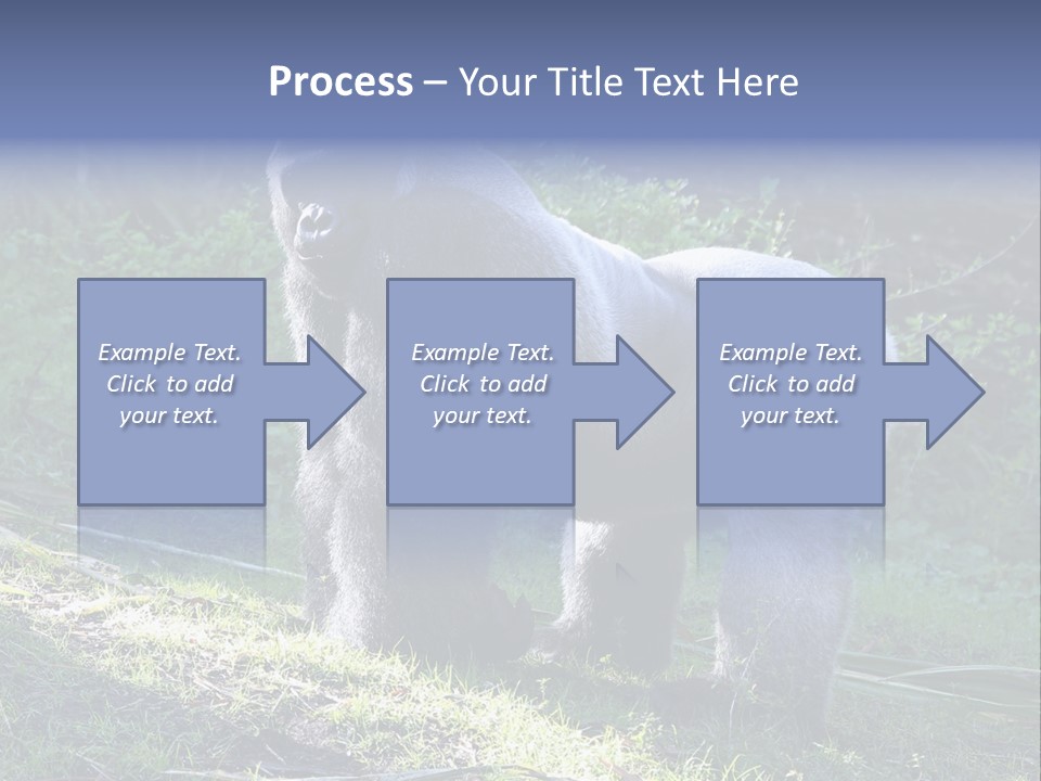 A Gorilla Standing In The Grass With Trees In The Background PowerPoint Template