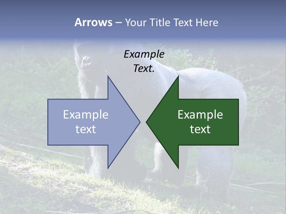 A Gorilla Standing In The Grass With Trees In The Background PowerPoint Template