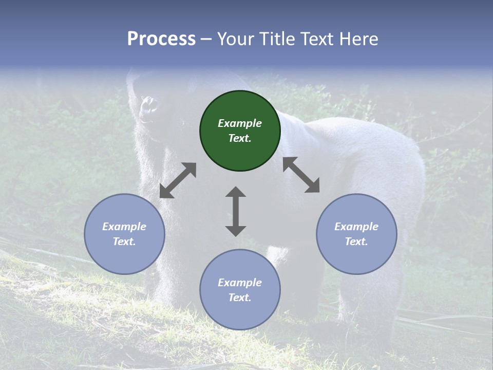 A Gorilla Standing In The Grass With Trees In The Background PowerPoint Template