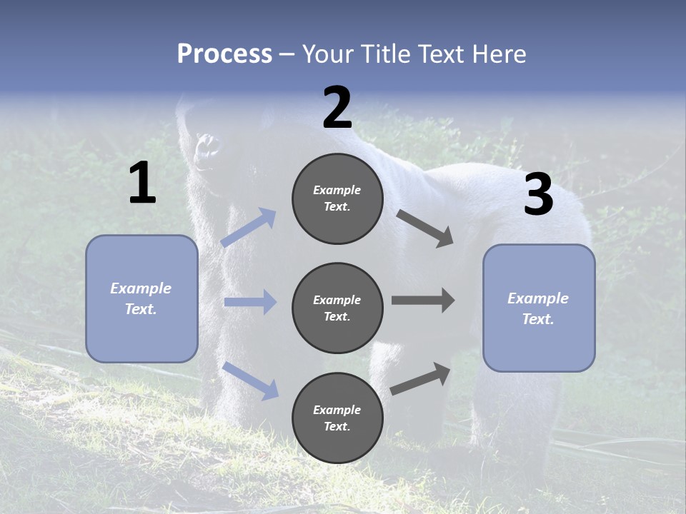 A Gorilla Standing In The Grass With Trees In The Background PowerPoint Template