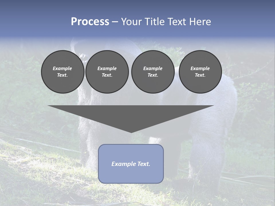 A Gorilla Standing In The Grass With Trees In The Background PowerPoint Template
