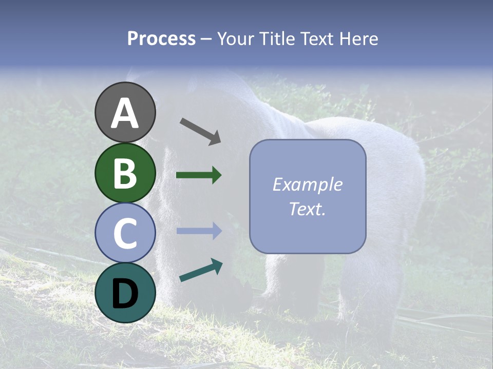 A Gorilla Standing In The Grass With Trees In The Background PowerPoint Template