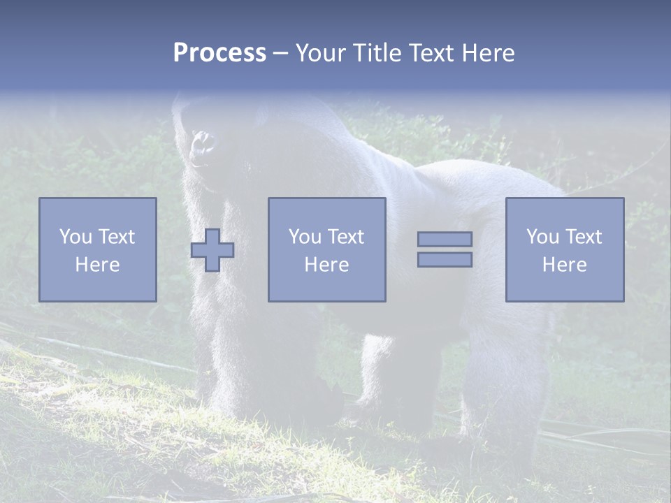 A Gorilla Standing In The Grass With Trees In The Background PowerPoint Template