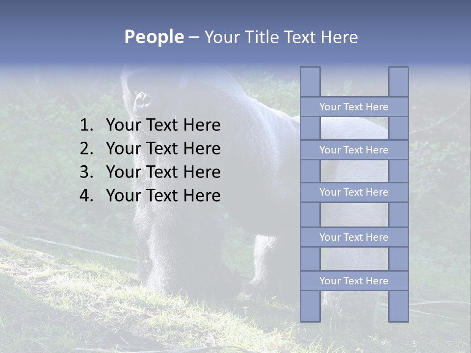 A Gorilla Standing In The Grass With Trees In The Background PowerPoint Template