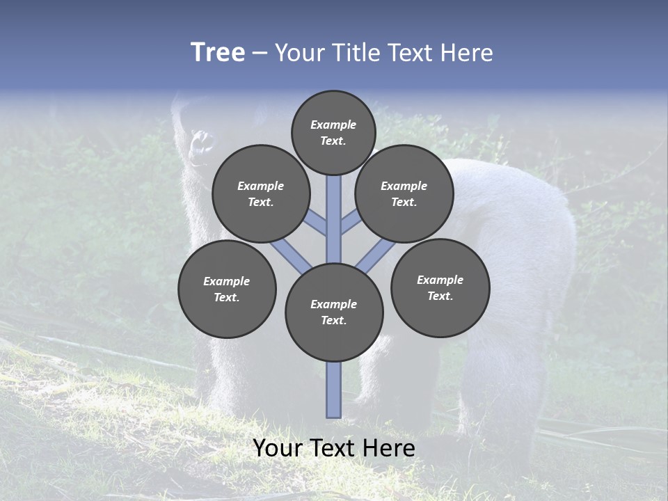 A Gorilla Standing In The Grass With Trees In The Background PowerPoint Template