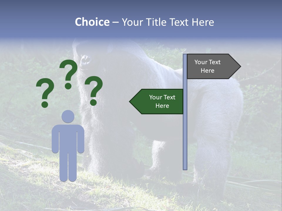 A Gorilla Standing In The Grass With Trees In The Background PowerPoint Template