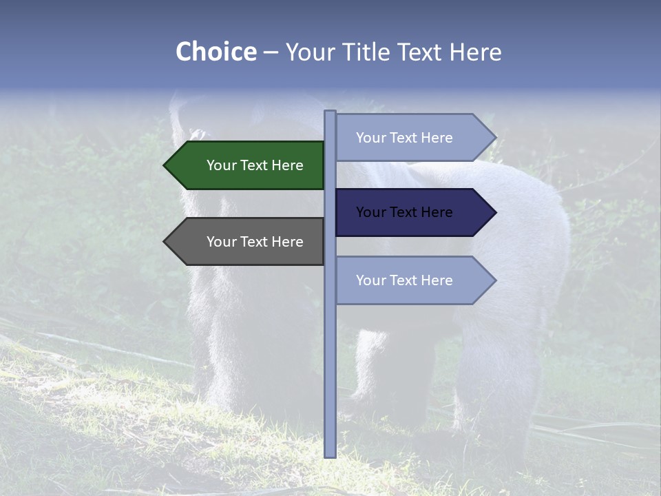 A Gorilla Standing In The Grass With Trees In The Background PowerPoint Template