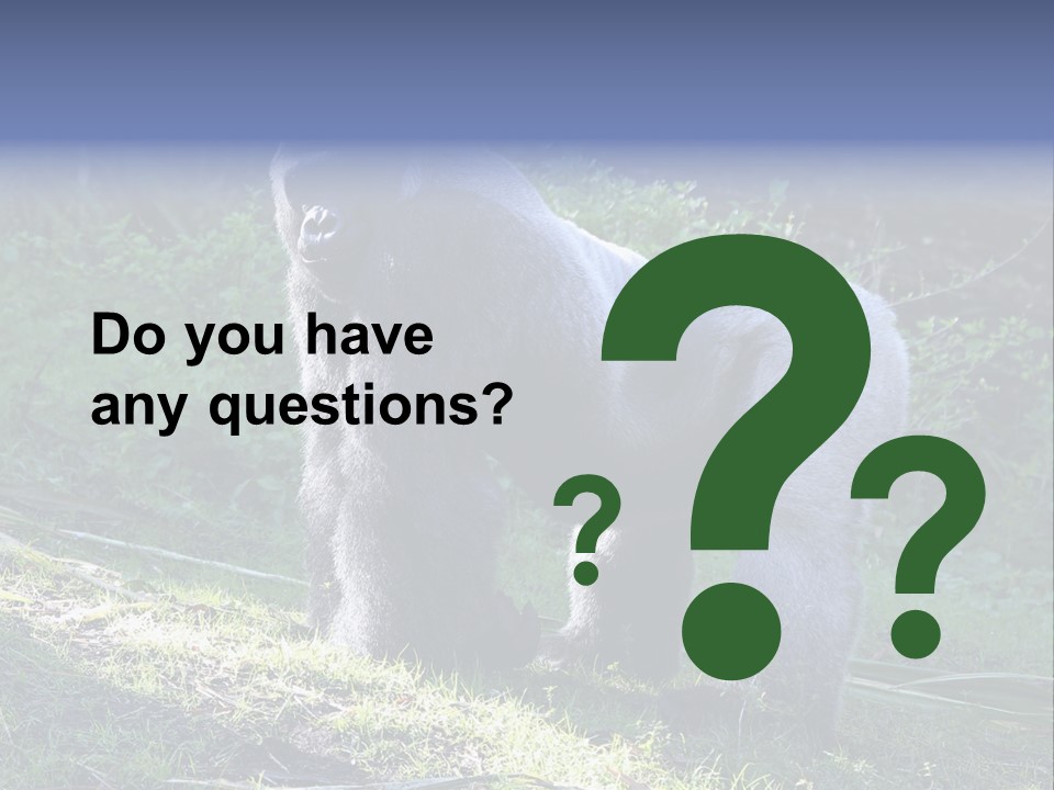 A Gorilla Standing In The Grass With Trees In The Background PowerPoint Template