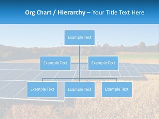 A Group Of Solar Panels In A Field PowerPoint Template