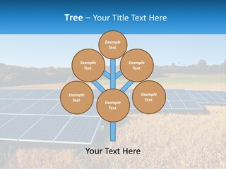 A Group Of Solar Panels In A Field PowerPoint Template