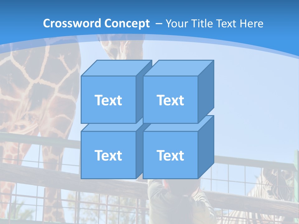 A Woman Feeding A Giraffe Through A Fence PowerPoint Template