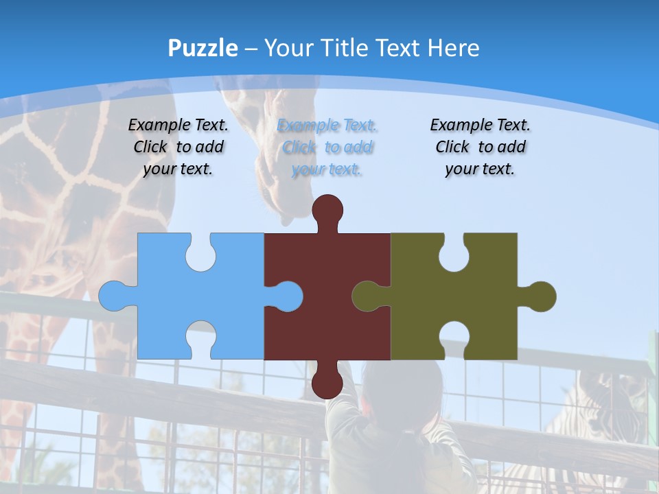 A Woman Feeding A Giraffe Through A Fence PowerPoint Template