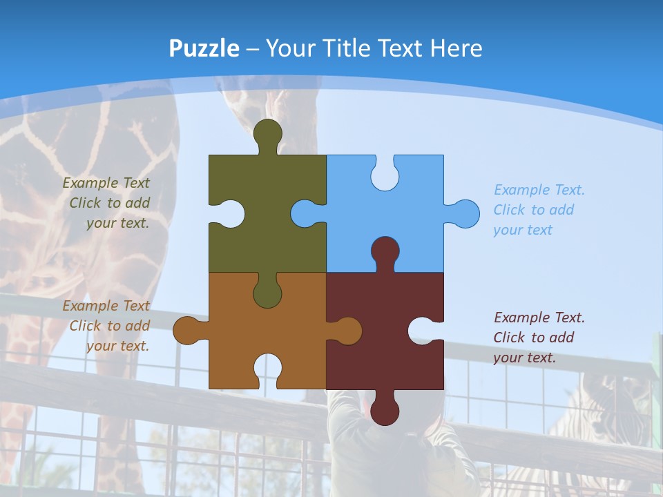 A Woman Feeding A Giraffe Through A Fence PowerPoint Template