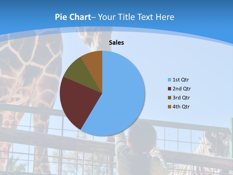 A Woman Feeding A Giraffe Through A Fence PowerPoint Template