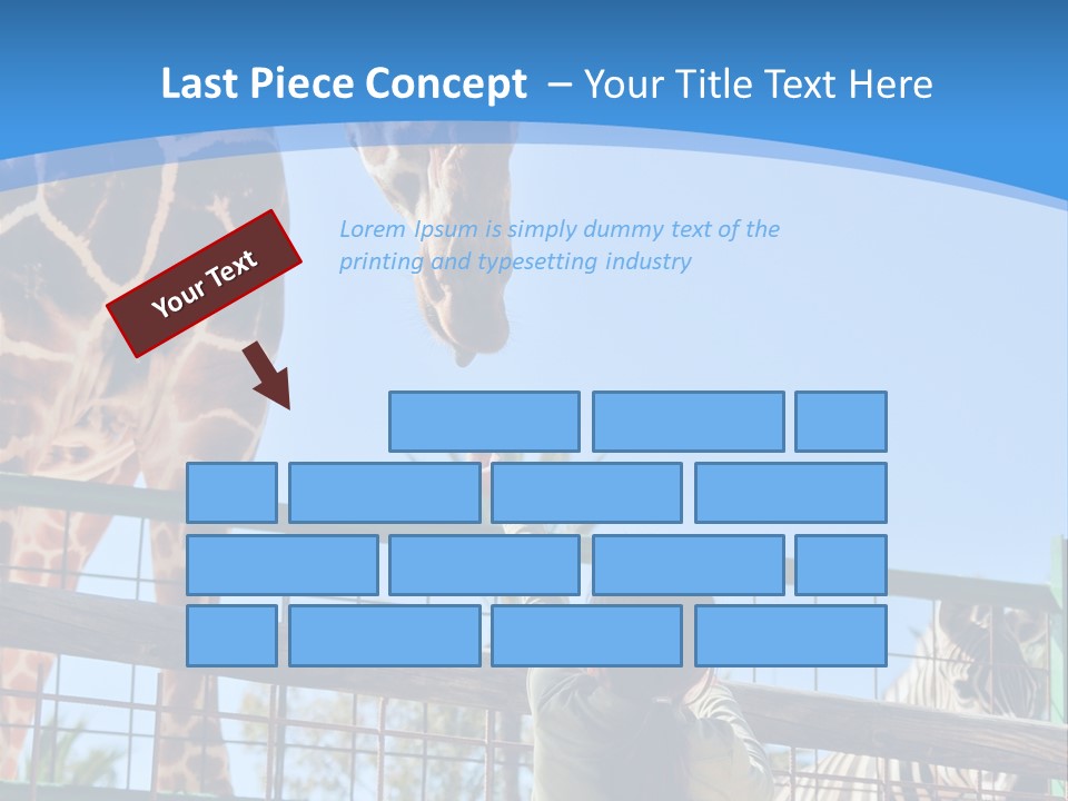 A Woman Feeding A Giraffe Through A Fence PowerPoint Template