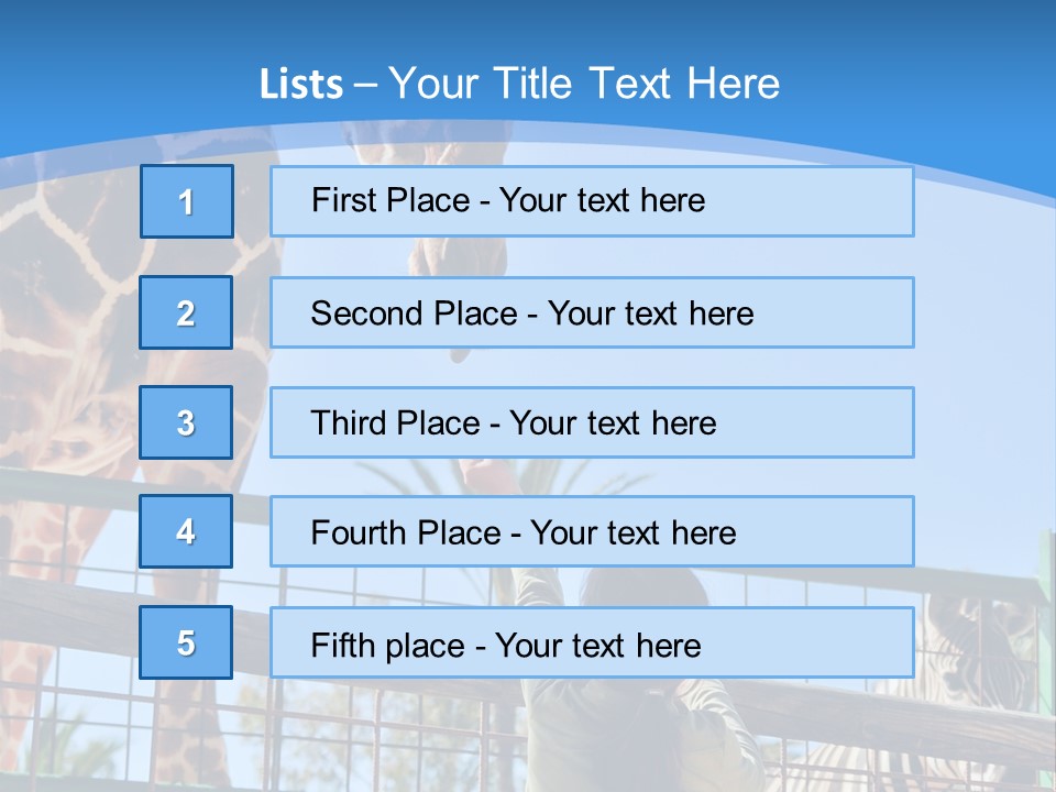 A Woman Feeding A Giraffe Through A Fence PowerPoint Template